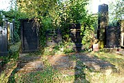 Czech: Náhrobky na židovském hřbitově v Olomouci.English: Gravestones in the Jewish cemetery in the city of Olomouc, Moravia, Czech Republic.