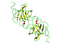 Miraculin (Synsepalum dulcificum)