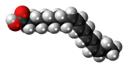 Space-filling model of the α-parinaric acid molecule