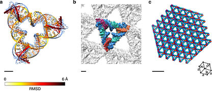 DNA tensegrity triangle array