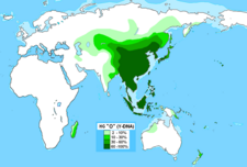 ハプログループOの分布図