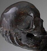 Detail showing human skull