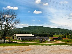 Farm in Irving College