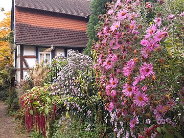 Idstein garden