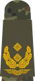 c. Major general (flecktarn uniform – Luftwaffe)