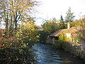 La Sèvre Niortaise vue d'une des passerelles du sentier.