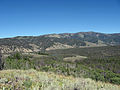 Little Redfish Lake barely visible from the Alpine Way Trail