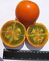 Lulo or Naranjilla (Solanum quitoense)