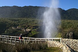 Geyser maritime à côté du chemin.