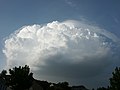 Pileus 27. Juli 2005 19.37 Uhr