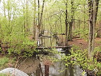 Redinger Ditch near Talma, Indiana