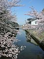 住宅地の間を流れる佐屋川創郷公園付近