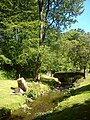 Stream at Letham Glen Park