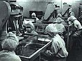 1964-04 1964年 无菌车间制作青霉素