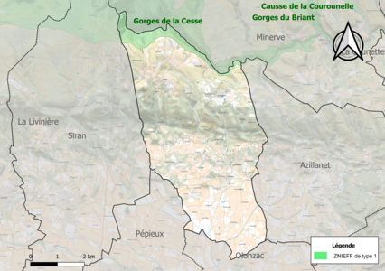 Carte de la ZNIEFF de type 1 sur la commune.