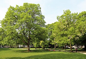 Le jardin de la Légion d'honneur, qui longe le musée.