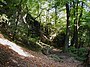 Cuha valley in the Bakony Mountains