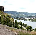 Burgruine Zeltingen und ihre Nähe zur Mosel