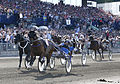 Victoire dans l'Elitloppet au sulky de Timoko en 2014.