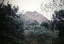 Photographie de temples précolombiens envahis par la végétation