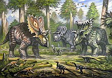Three large horned dinosaurs in a forest, with small feathered dinosaurs in the foreground