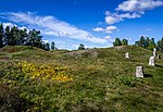 Kungshållet på Kjulaåsen