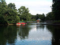Boating lake in the park.