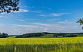 Schafberg, Spitzenberg Luppa