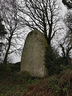 Image illustrative de l’article Menhir de Cosquer Jehan