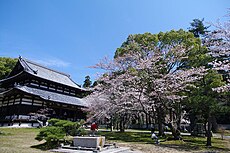 春の根来寺