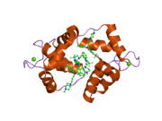 1wrk: Crystal structure of the N-terminal domain of human cardiac troponin C in complex with trifluoperazine (orthrombic crystal form)