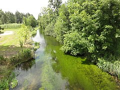 La Souche à Pierrepont