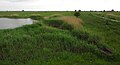 Pikla coastal meadow