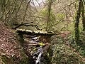 Un petit pont de bois.