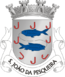 Blason de São João da Pesqueira