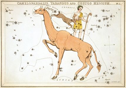 Camelopardalis, by Sidney Hall and Richard Rouse Bloxam (restored by Adam Cuerden)