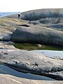 Dos de baleine sur la côte finlandaise.