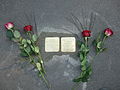 Frisch verlegte Stolpersteine mit Rosen