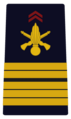 Coronel del Ejército de Tierra