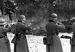 חיילים גרמנים מוציאים להורג אזרחים פולנים לא-יהודים באזור קרקוב