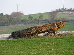 Image illustrative de l’article Dolmen de Laprougès