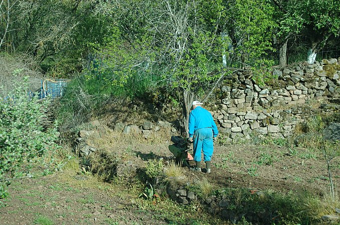 Peasant in Vizcaínos
