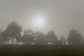 Fog obscures sunlight and vision on Obudu Plateau