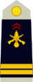 Lieutenant (French Army)[33]