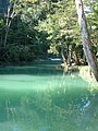 Blue Creek River, Belize