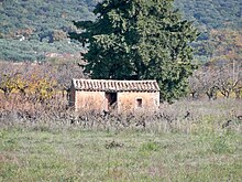 Dans le Vaucluse, vieux cabanon sous un chêne