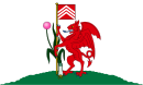 Flag of Cardiff