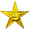 The Islamic Barnstar