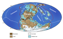 Palaeogeographic map showing Gondwana, Laurussia and Siberia now joined to form the supercontinent of Pangea. North China and South China lay to the northeast separated from Pangea by the Palaeotethys Ocean. Much of the northern hemisphere is covered by the Panthalassic Ocean.