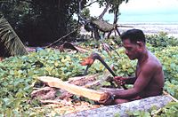 Micronesian of Tobi, Palau, making a paddle for his wa with an adze